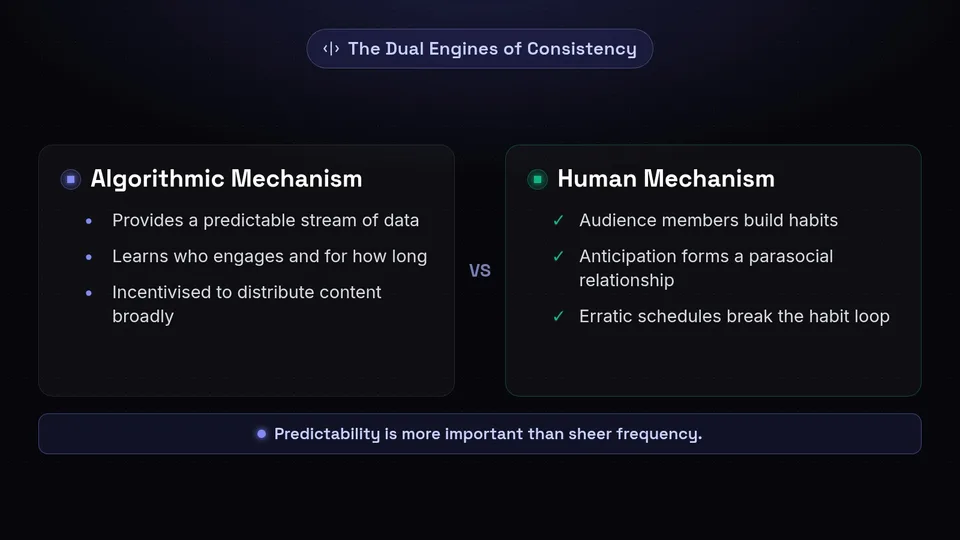 A comparison between the algorithmic and human mechanisms of posting consistency.