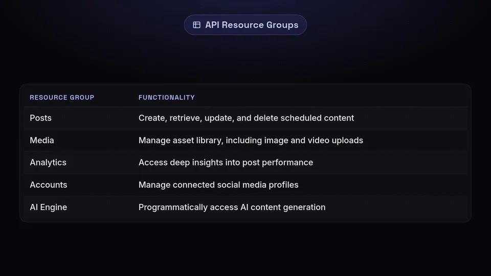 A table listing API resource groups like Posts, Media, Analytics, Accounts, and AI Engine with their functions.
