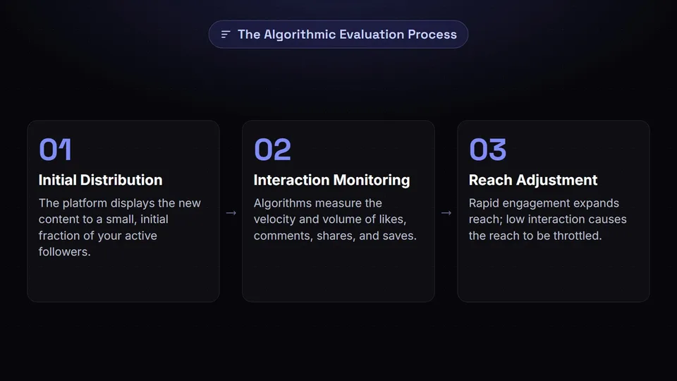 Diagram showing the three steps of the algorithmic evaluation process.