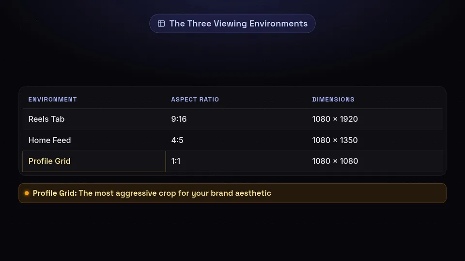 A table comparing the Reels Tab, Home Feed, and Profile Grid by their aspect ratios and pixel dimensions.